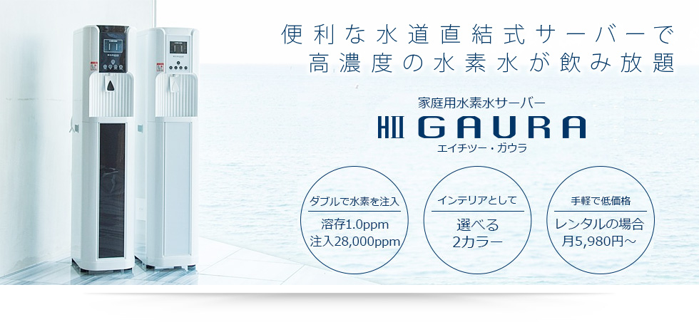 Gaura Mini 高濃度水素水生成器 株式会社ニッコー クリクラ白河